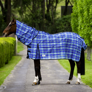 EUREKA MESH SHADECLOTH RUG