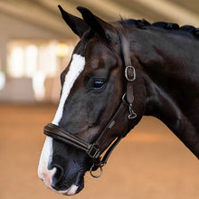 Load image into Gallery viewer, EQUESTRIAN STOCKHOLM GLIMMER ANATOMIC LEATHER HALTER
