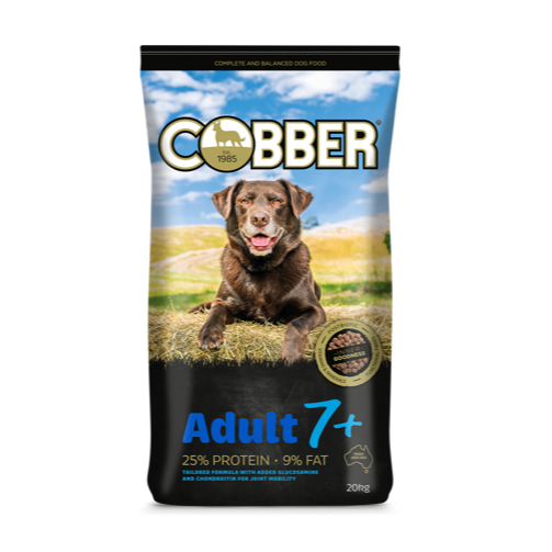 COBBER ADULT 7+ (SENIOR)