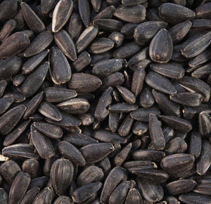 SUNFLOWER SEEDS BLACK