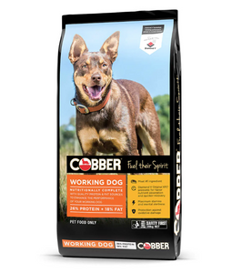 COBBER WORKING DOG