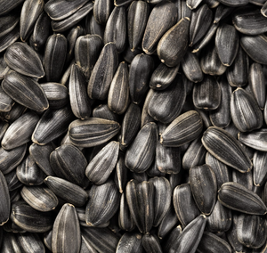 SUNFLOWER SEEDS GREY STRIPED