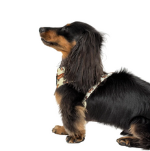 Load image into Gallery viewer, PABLO &amp; CO WIENER DOGS ADJUSTABLE HARNESS
