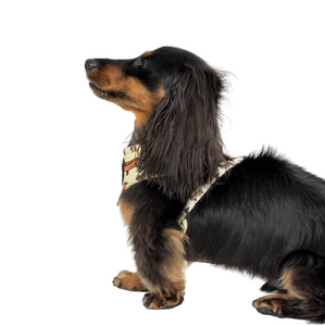 PABLO & CO WIENER DOGS ADJUSTABLE HARNESS