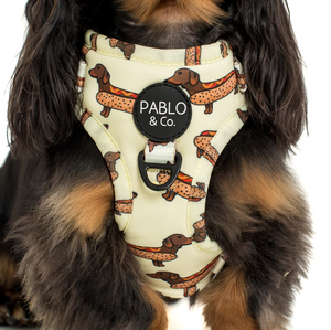 PABLO & CO WIENER DOGS ADJUSTABLE HARNESS