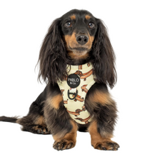 Load image into Gallery viewer, PABLO &amp; CO WIENER DOGS ADJUSTABLE HARNESS
