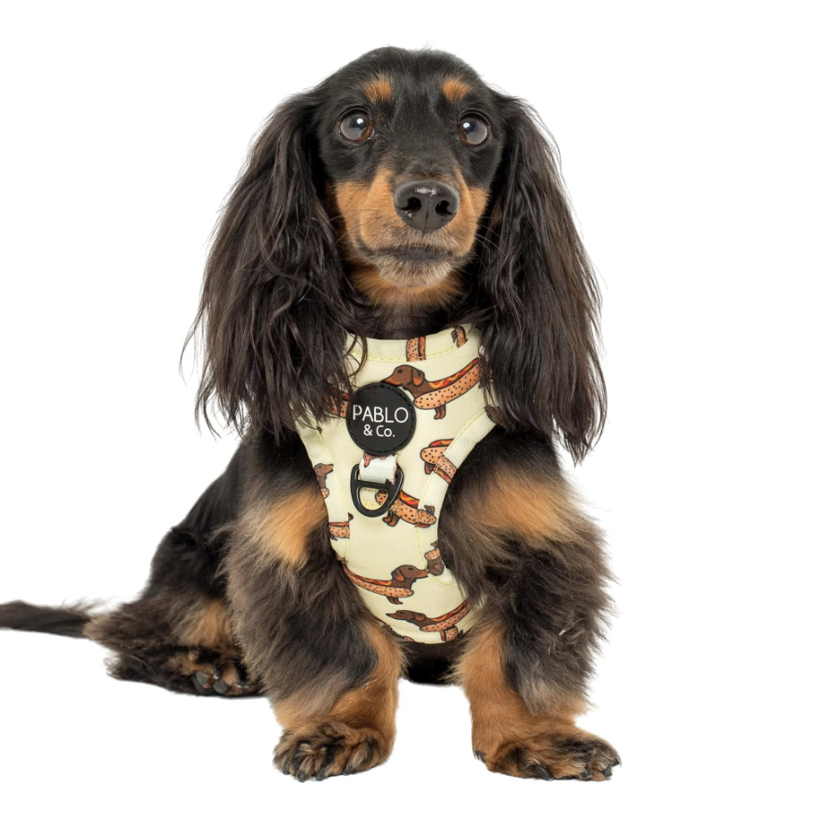 PABLO & CO WIENER DOGS ADJUSTABLE HARNESS