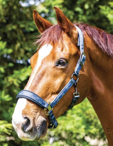 WEATHERBEETA DELUXE ZURI HEADCOLLAR