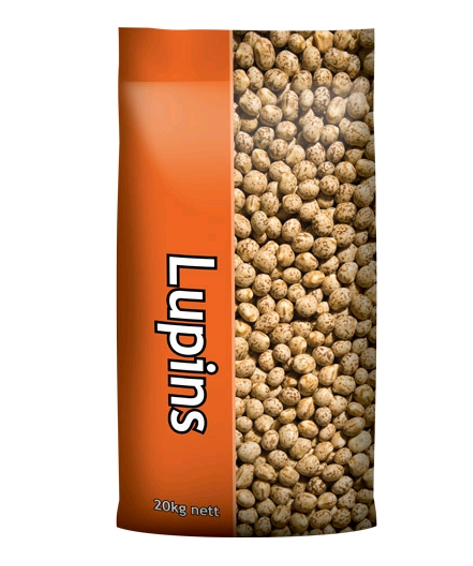 LUPINS WHOLE